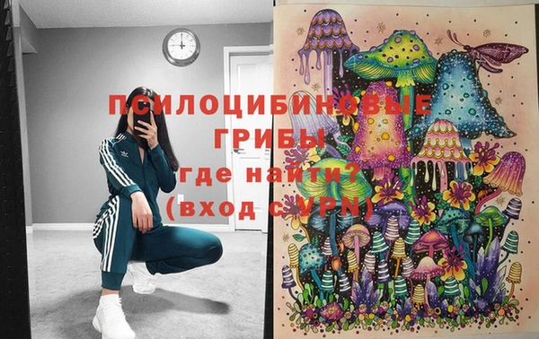 ECSTASY Краснослободск