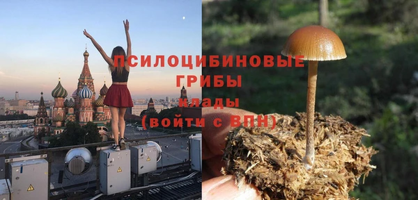 ECSTASY Краснослободск