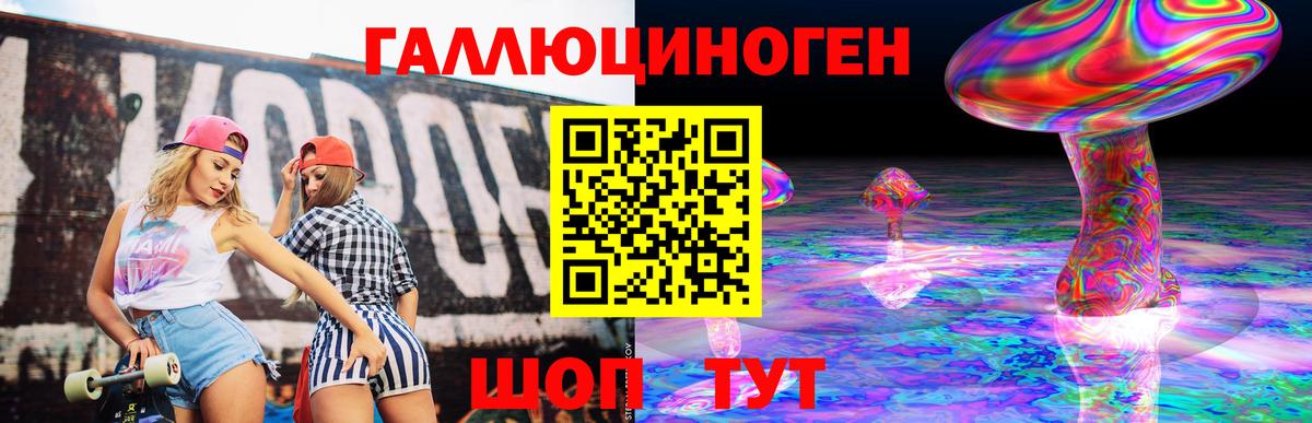 Псилоцибиновые грибы Cubensis  Вход с VPN  Михайловка 